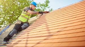 Best Roof Moss and Algae Removal  in Titusville, FL