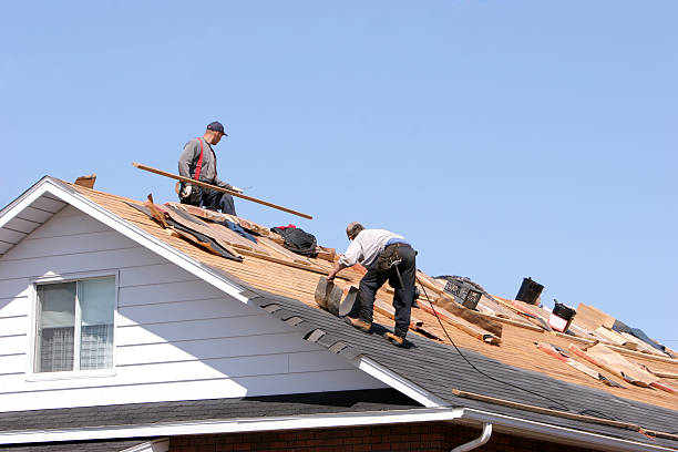 Best Skylight Installation and Repair  in Titusville, FL